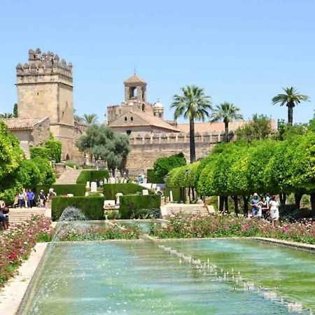 Apartamento Con Jardin Y Piscina En Cordoba Córdoba Exterior foto