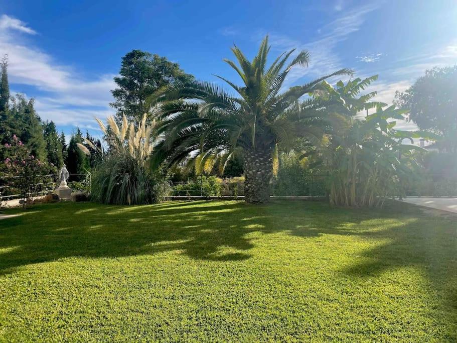 Apartamento Con Jardin Y Piscina En Cordoba Córdoba Exterior foto